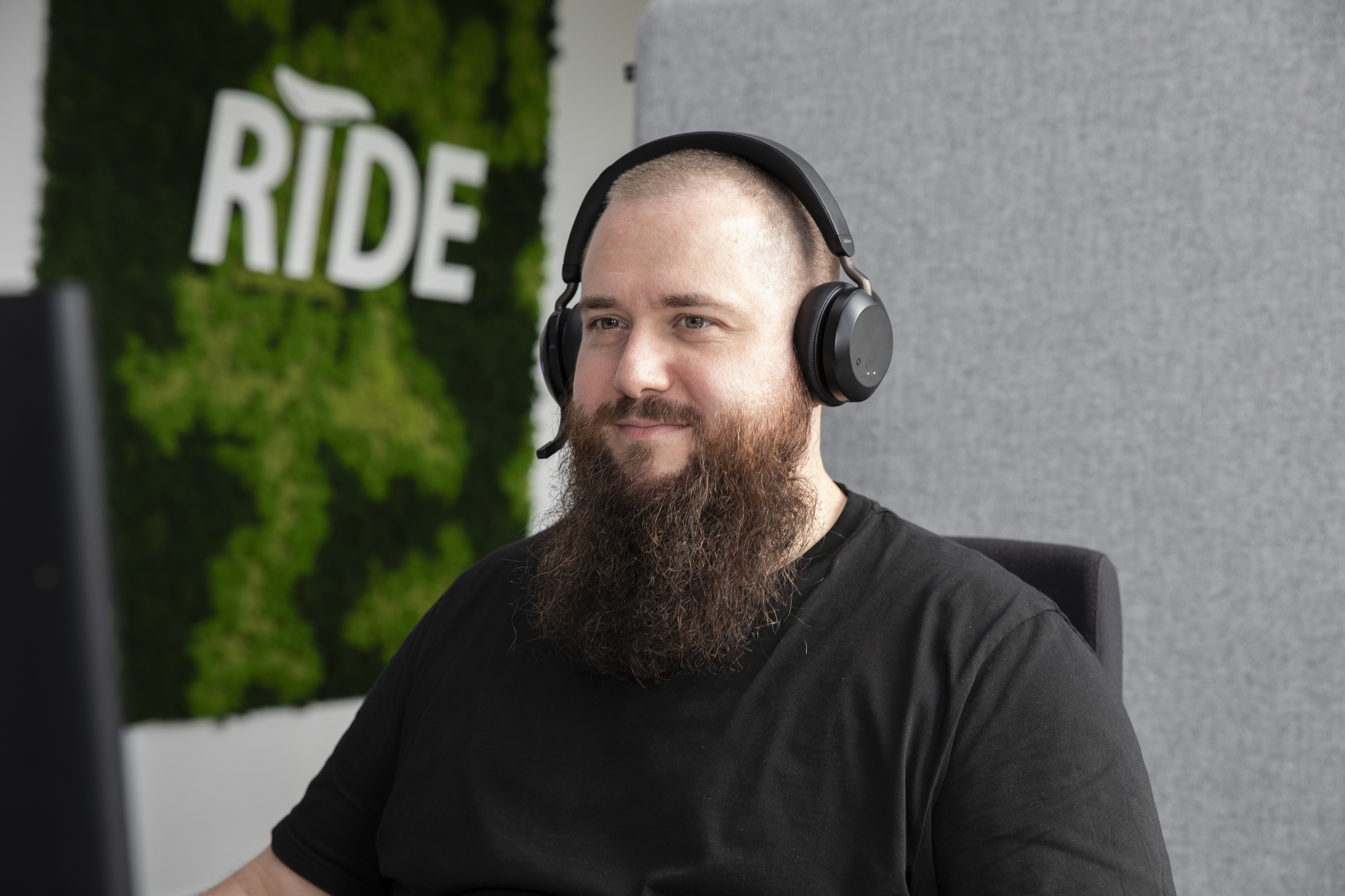 Description of the photo